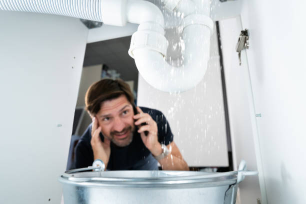 Professional Plumbing in Wolf Lake, MI